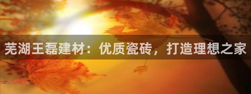 杏鑫注册登录代理