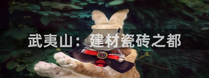 杏鑫官方平台怎么样啊知乎