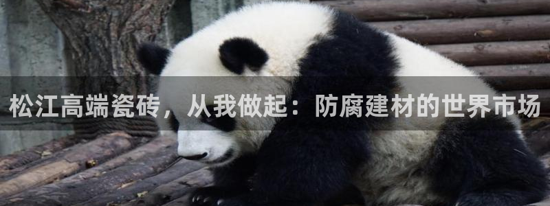 杏鑫平台招商电话号码是多少