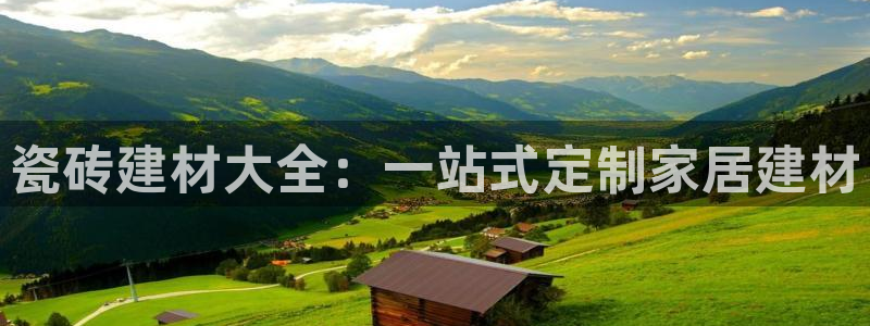 杏鑫平台代理注册流程