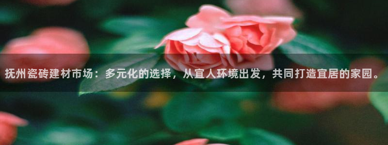 杏鑫平台代理怎么做的