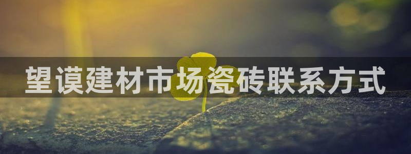 杏鑫手机客户端