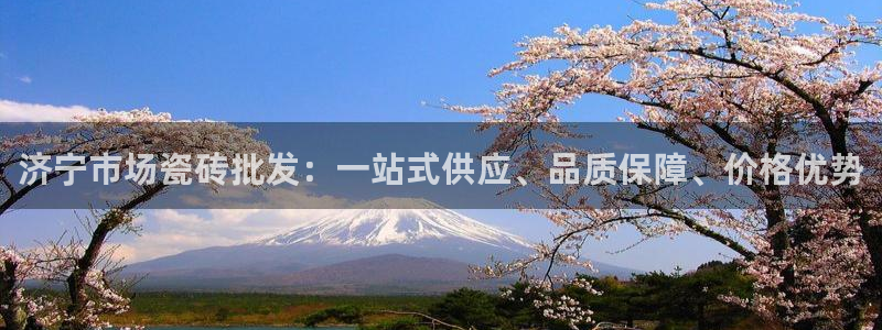 杏鑫注册平台官方网站是什么