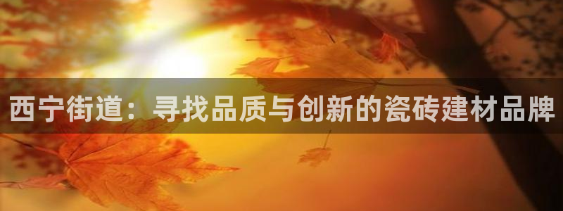 杏鑫平台代理怎么做赚钱