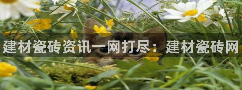 杏鑫平台注册网址查询