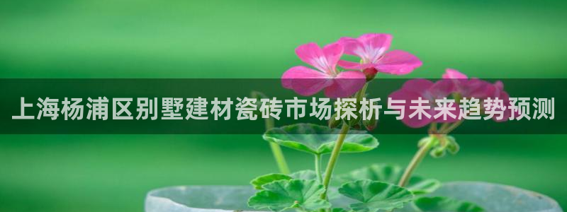 杏鑫平台靠谱吗