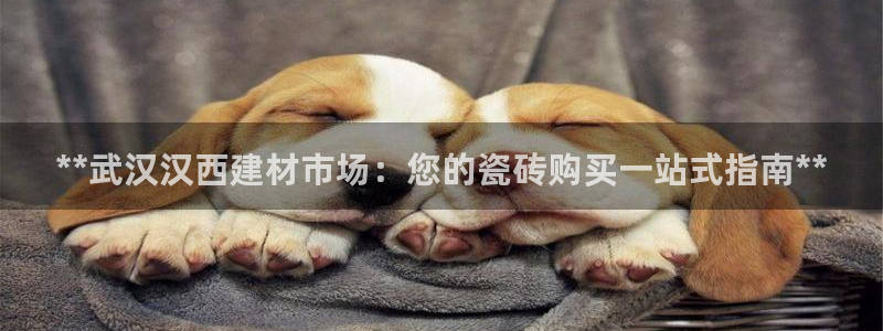 杏鑫平台招商怎么样可靠吗