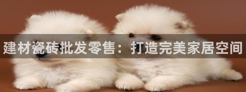 杏鑫娱乐怎么下