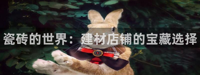 杏鑫平台代理怎么样啊