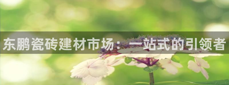 杏鑫平台念7O777