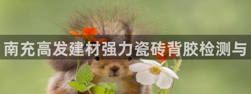 杏鑫平台代理注册流程视频