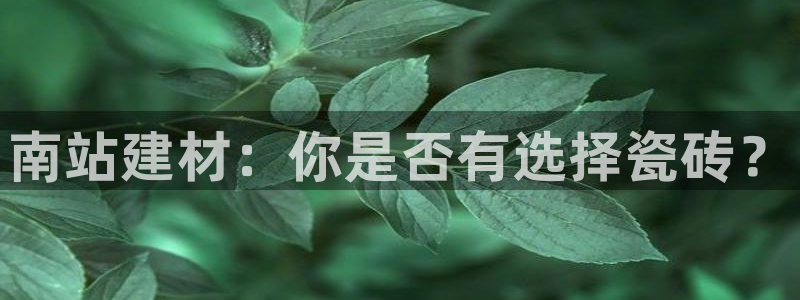 杏鑫平台登录地址查询