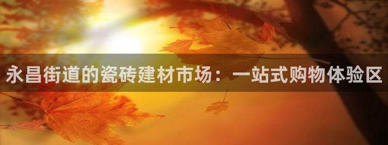 杏鑫官网注册账号密码忘了