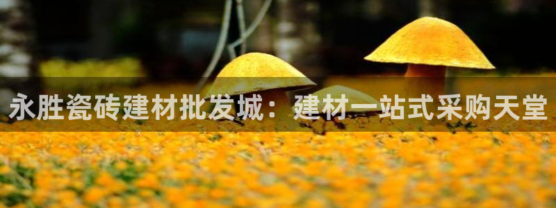 杏鑫平台代理注册流程视频