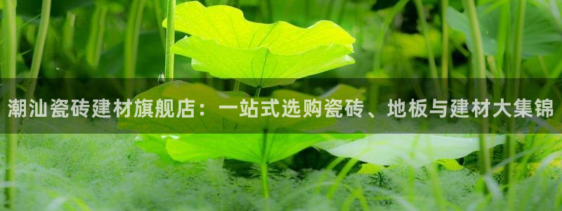 杏鑫平台代理注册多少钱啊