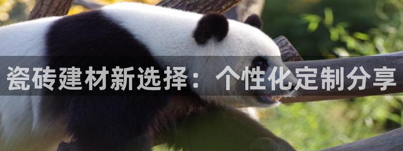 杏鑫官网注册账号怎么注册