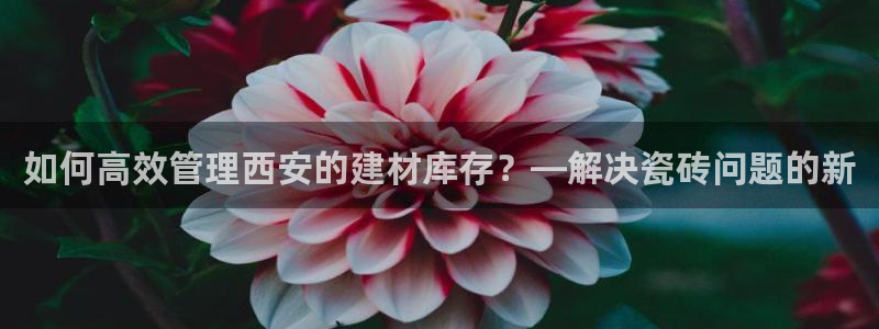 杏鑫平台代理注册要钱吗