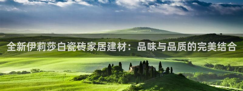 杏鑫平台正规吗