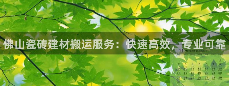 杏鑫官网最新信息