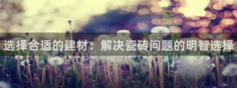 杏鑫代理注册平台