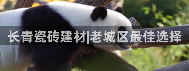 杏鑫注册登录代理