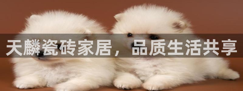 杏鑫平台注册入口