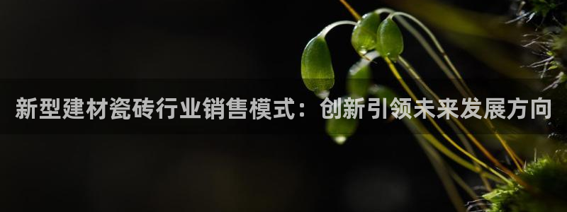 杏鑫平台直属哪个公司