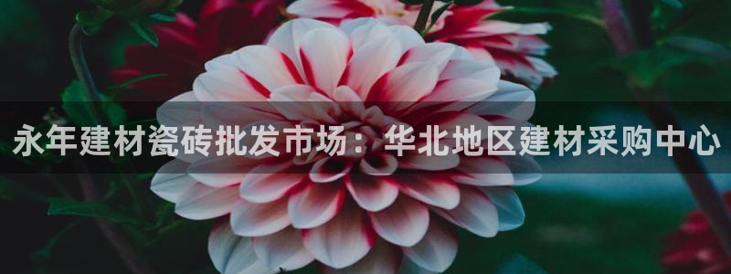 杏鑫平台代理注册登录不了怎么办呀视频