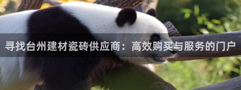 杏鑫官网注册账号怎么注册不了