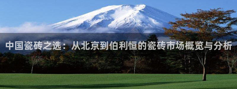 杏鑫平台代理注册登录不了怎么办呀