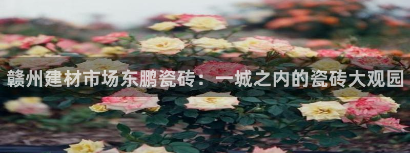 杏鑫注册登录地址