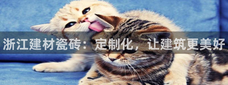 杏鑫平台登录注册