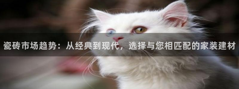 杏鑫平台怎么样黑钱吗是真的吗还是假的