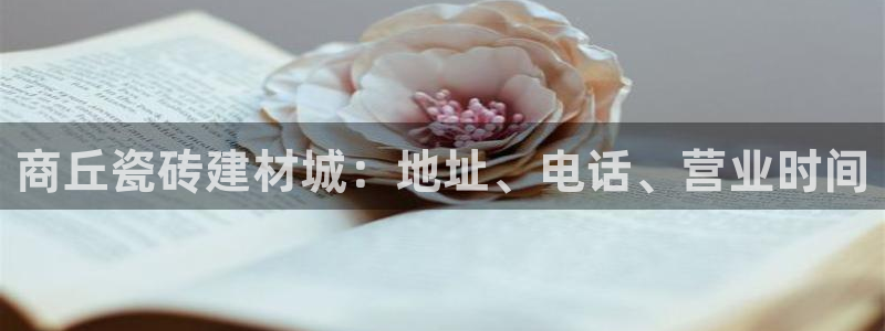 杏鑫平台在线注册流程