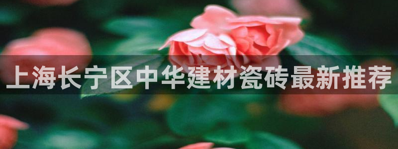 杏鑫平台野马联盟怎么样